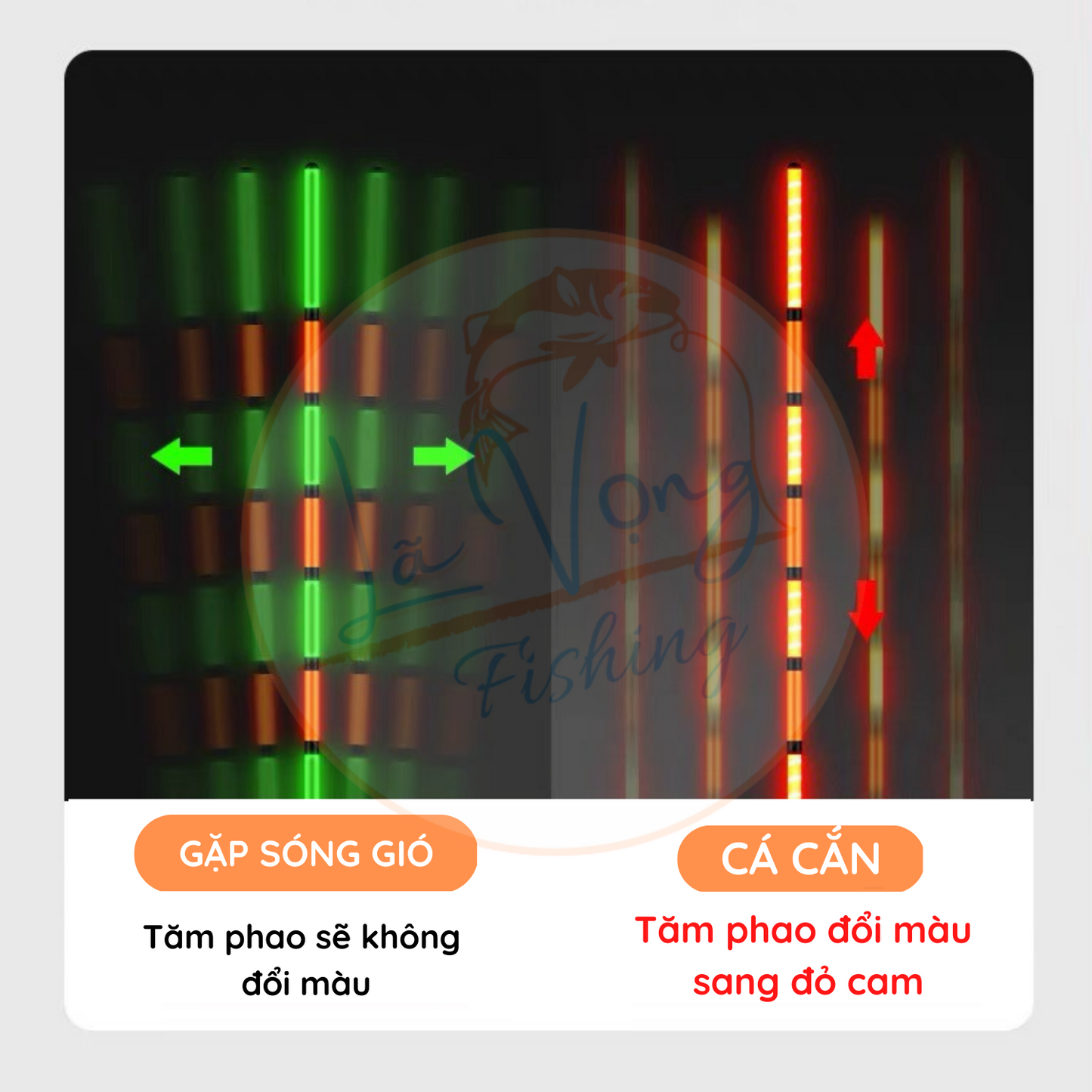 Phao đêm đổi màu Tiểu Phượng Tiên, Phao câu đơn đài cao cấp
